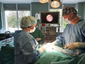 dr. Arūnas Strumila atlieka endoskopinę operaciją