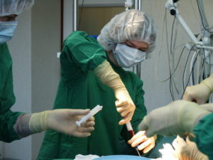 Kaulų čiulpų transplantacija Vaikų ligoninėje